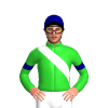 Jockey Silk