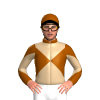 Jockey Silk