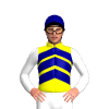 Jockey Silk