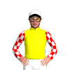 Jockey Silk