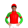 Jockey Silk