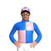 Jockey Silk