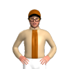 Jockey Silk