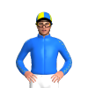 Jockey Silk