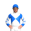 Jockey Silk