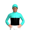 Jockey Silk