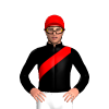 Jockey Silk