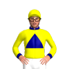 Jockey Silk