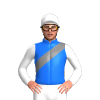 Jockey Silk