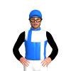 Jockey Silk