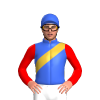 Jockey Silk