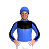 Jockey Silk