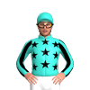 Jockey Silk