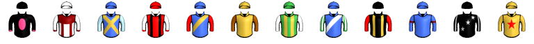 Runner silk