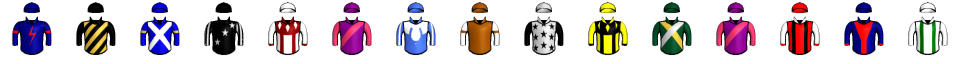 Runner silk