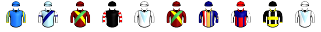 Runner silk