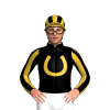 Jockey Silk