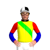 Jockey Silk