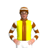 Jockey Silk