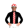 Jockey Silk