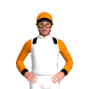 Jockey Silk