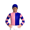 Jockey Silk