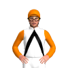 Jockey Silk