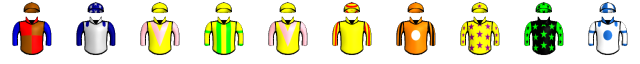 Runner silk