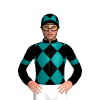 Jockey Silk