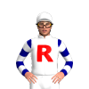 Jockey Silk