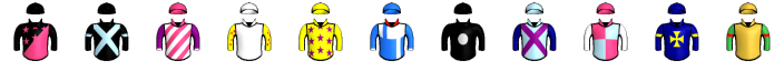 Runner silk