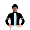 Jockey Silk