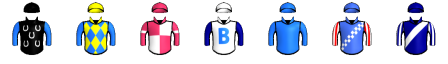 Runner silk