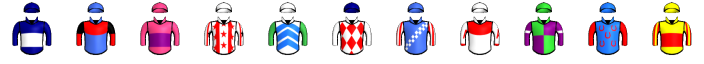 Runner silk