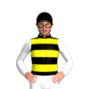 Jockey Silk