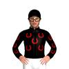 Jockey Silk