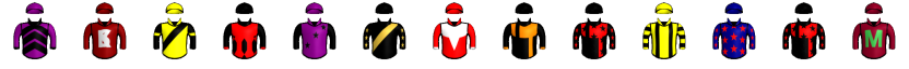 Runner silk