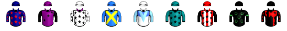 Runner silk