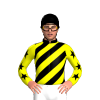 Jockey Silk