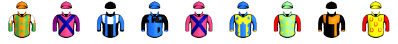 Runner silk