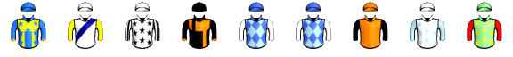 Runner silk