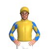 Jockey Silk