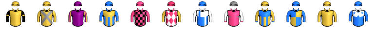 Runner silk