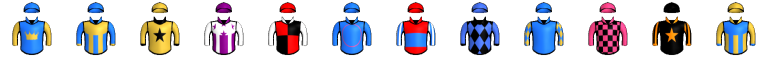 Runner silk
