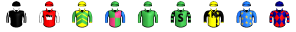 Runner silk