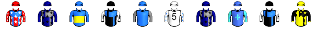 Runner silk