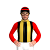 Jockey Silk