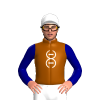 Jockey Silk