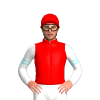 Jockey Silk