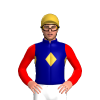 Jockey Silk